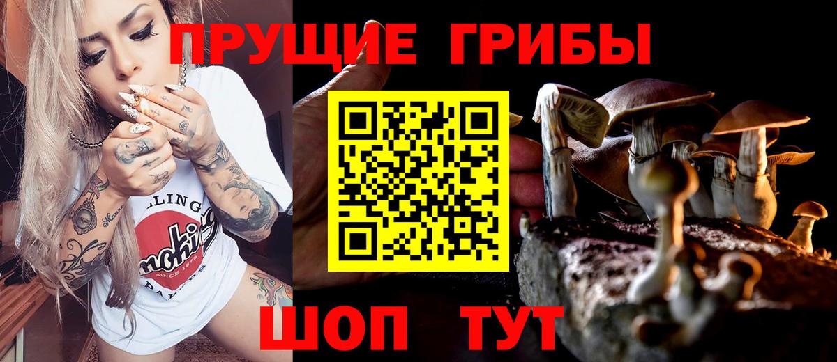 Ржев  Галлюциногенные грибы MAGIC MUSHROOMS  Вход с VPN 